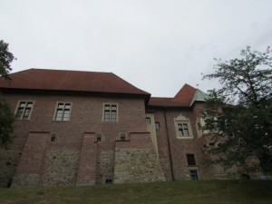 Zamek Dębno - widok od południa